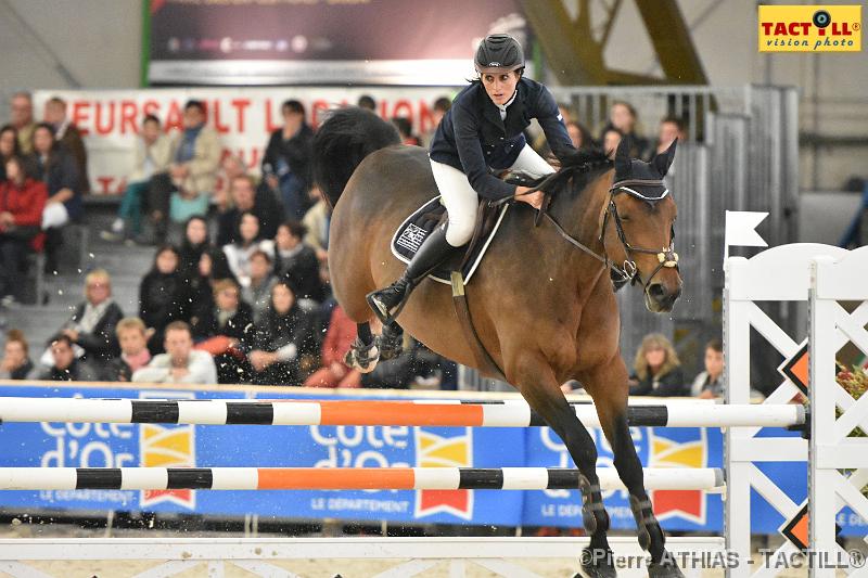 jumping_dijon_20151010_D72_1511.JPG - Jumping Indoor Dijon-BourgogneParc des Expositions8-11 Octobre 2015