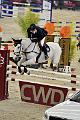 jumping_dijon_20151009_D72_1390