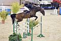 jumping_dijon_20151009_D72_1410