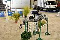 jumping_dijon_20151009_D72_1432