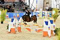 jumping_dijon_20151009_D72_1441