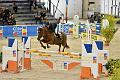 jumping_dijon_20151009_D72_1445