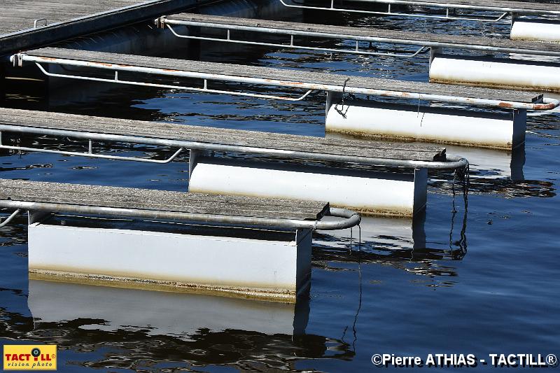 tactill-aqua_2015-06-28_056.JPG - Lac de NeuvicHaute Dordogne28 Juin 2015