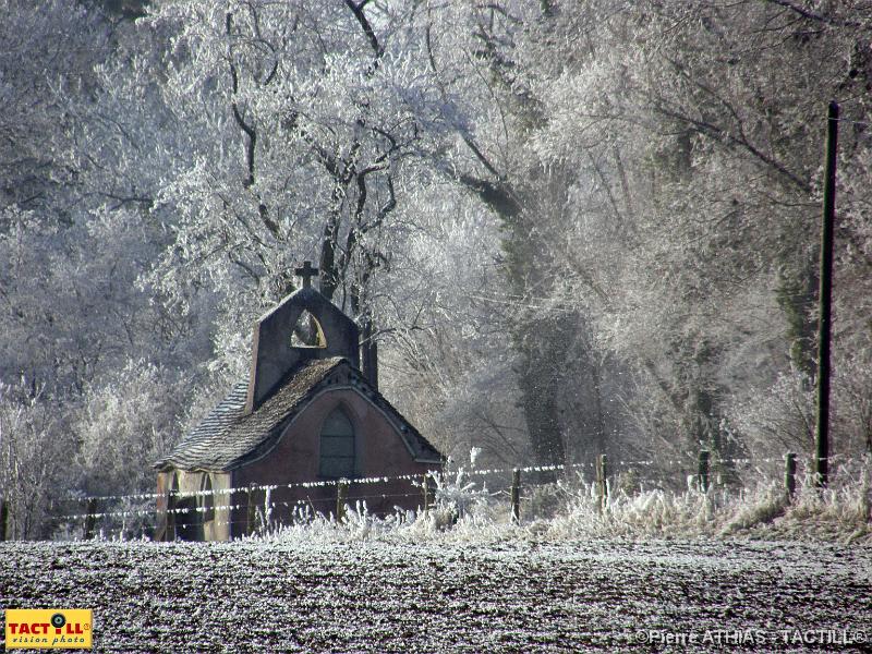 tactill_nature_2007-12-23_037.JPG