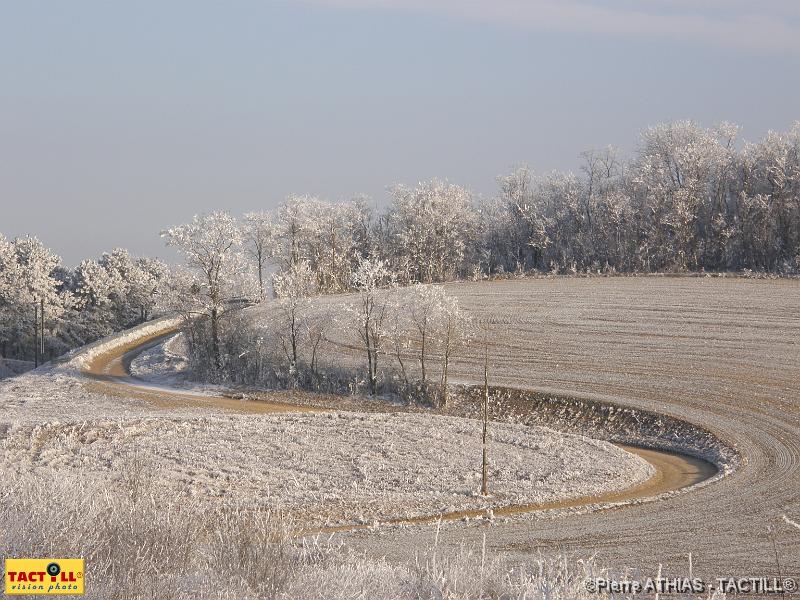 tactill_nature_2007-12-23_040.JPG