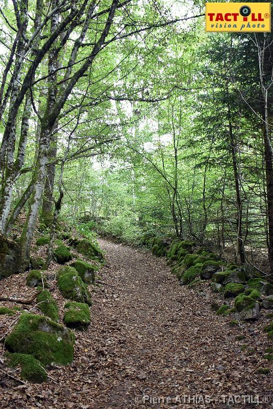 rando_Melay_20150905_D72_0820.JPG - Randonnées au Pays des Mille Etangsà partir du gite de MelayVosges de Haute Saone4-6 Septembre 2015