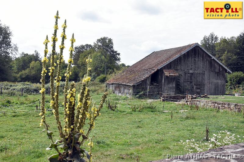 rando_Melay_20150905_D72_0886.JPG - Randonnées au Pays des Mille Etangsà partir du gite de MelayVosges de Haute Saone4-6 Septembre 2015