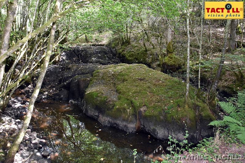 rando_Melay_20150905_D72_0895.JPG - Randonnées au Pays des Mille Etangsà partir du gite de MelayVosges de Haute Saone4-6 Septembre 2015