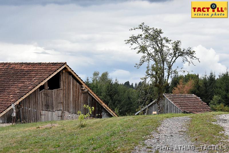 rando_Melay_20150905_D72_0923.JPG - Randonnées au Pays des Mille Etangsà partir du gite de MelayVosges de Haute Saone4-6 Septembre 2015