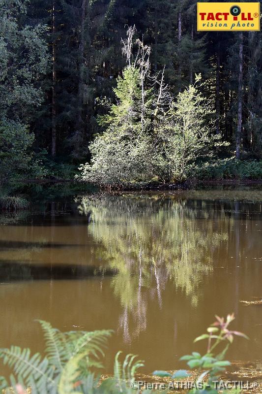 rando_Melay_20150906_D72_1005.JPG - Randonnées au Pays des Mille Etangsà partir du gite de MelayVosges de Haute Saone4-6 Septembre 2015