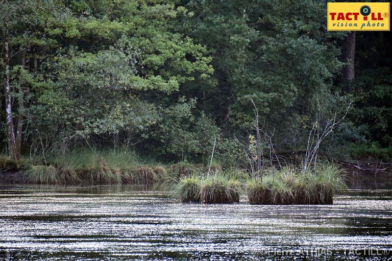 rando_Melay_20150906_D72_1014.JPG - Randonnées au Pays des Mille Etangsà partir du gite de MelayVosges de Haute Saone4-6 Septembre 2015