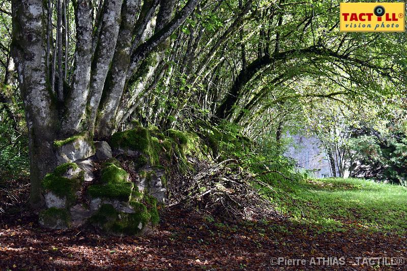 rando_Melay_20150906_D72_1052.JPG - Randonnées au Pays des Mille Etangsà partir du gite de MelayVosges de Haute Saone4-6 Septembre 2015